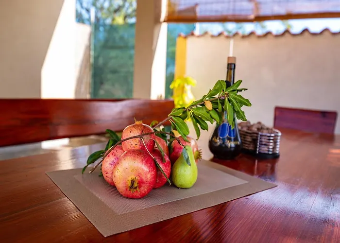 Vesna Lux * 扎达尔